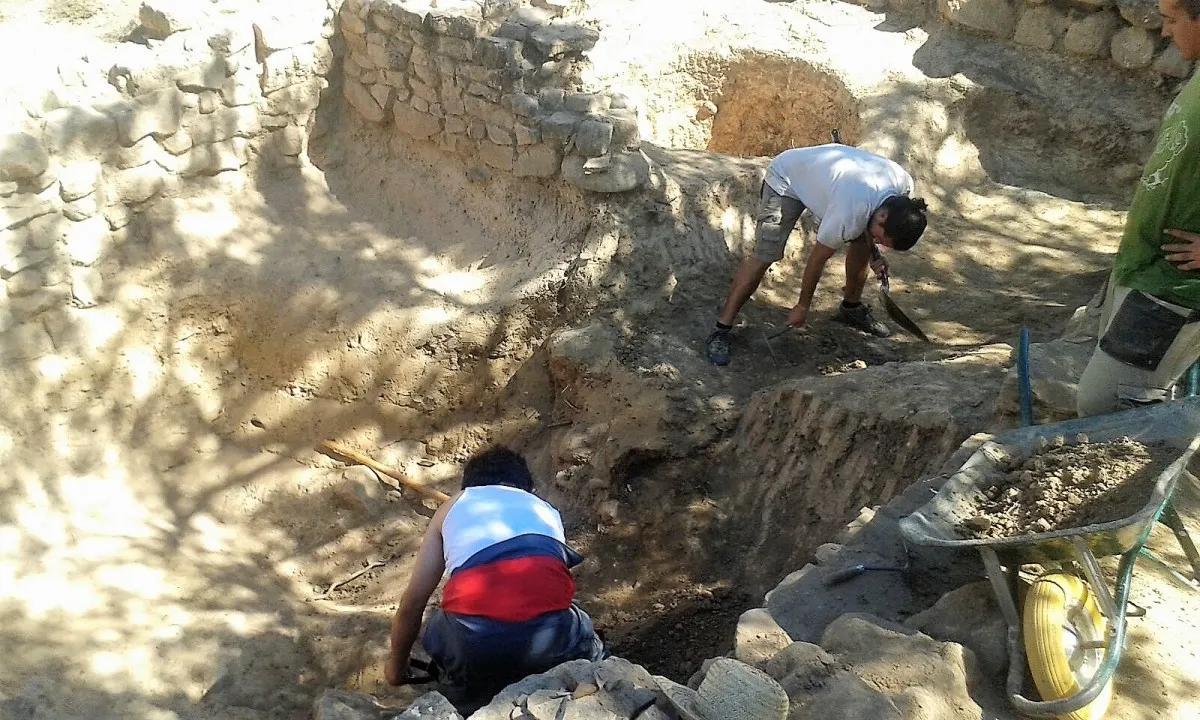 Balanç positiu de la campanya d'excavacions arqueològiques del CEL d'aquest estiu