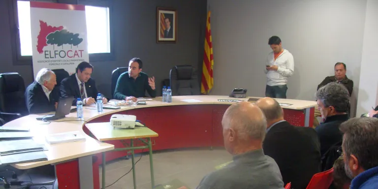 Pelegrí es compromet a ajudar els boscos públics catalans a ser més rendibles