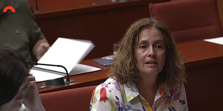 El PSC pregunta pel desplegament de delegacions del Govern a l'Alt Pirineu i Aran