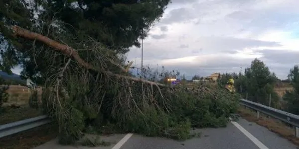 Protecció Civil manté l'Alerta per fort vent avui dilluns a pràcticament tota la meitat oest de Catalunya