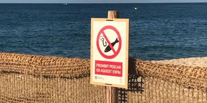 Arenys intensificarà la vigilà ncia per evitar que es trobin hams a les platges