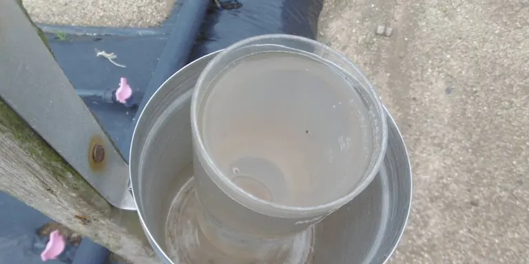 La pluja ha deixat 38 l/m2 a Pineda