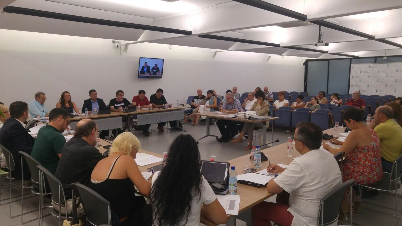 El ple de Pineda aprova per unanimitat una moció contra les màfies que ocupen pisos
