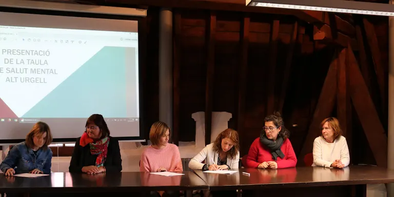 Constituïda la Taula de Salut Mental de l’Alt Urgell