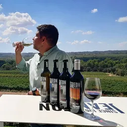 Cinc cellers per visitar i tastar vinassos - episode art