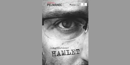 La Seu proposa l'espectacle 'Diagnòstic: Hamlet', de la companyia Pel Mànec