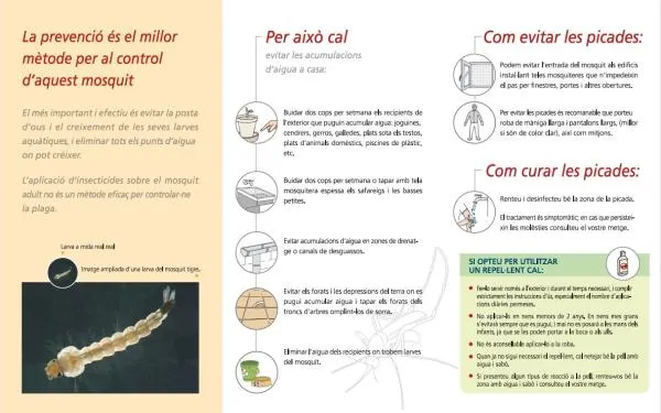 Foto: Ajuntament d'Altafulla