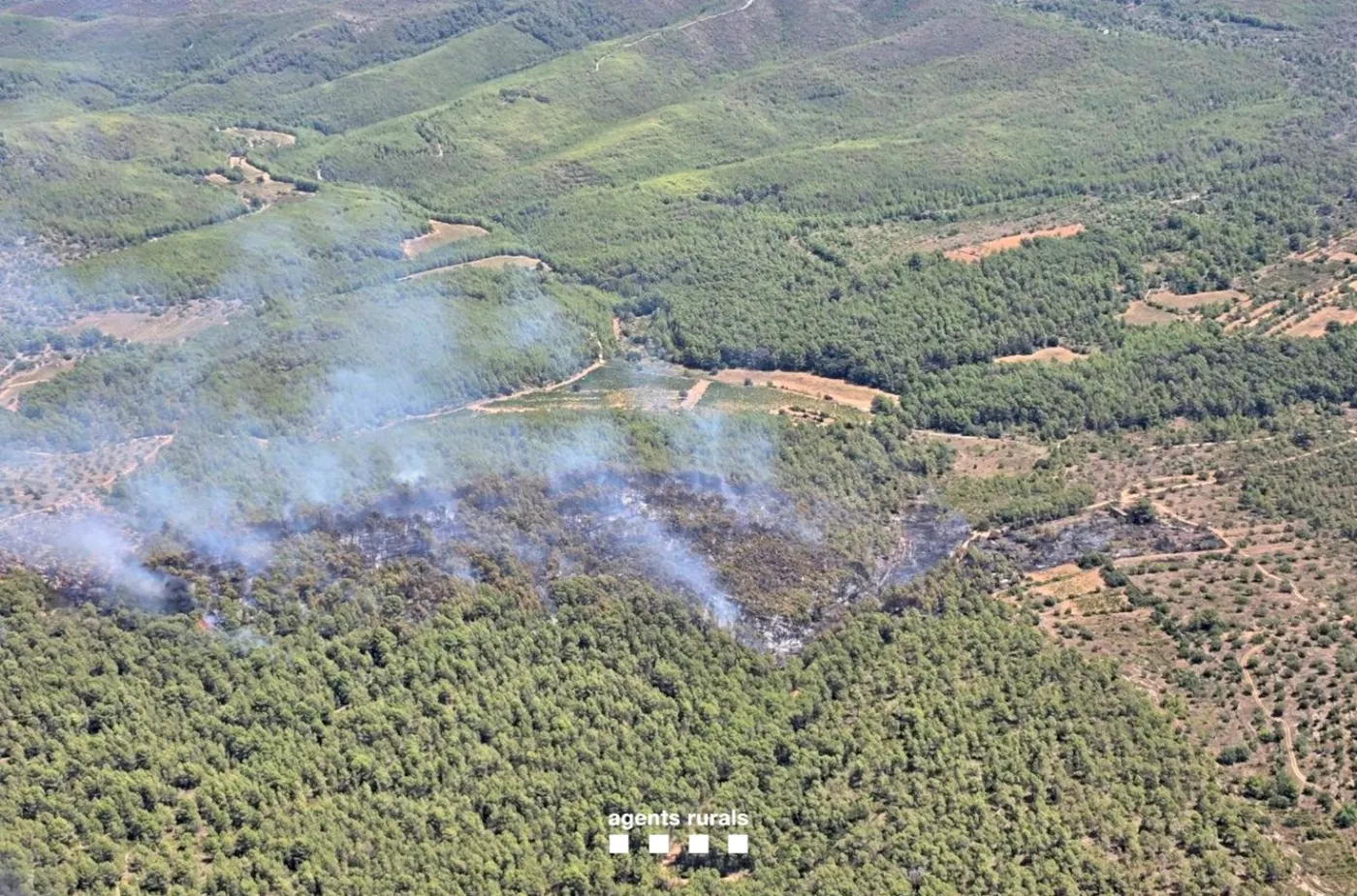 S'estabilitza l'incendi de Masllorenç