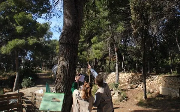 Foto: Arxiu - Altafulla Ràdio