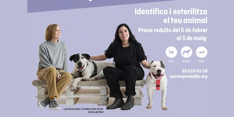 L'Ajuntament participa en una nova campanya d'identificació i esterilització d'animals de companyia