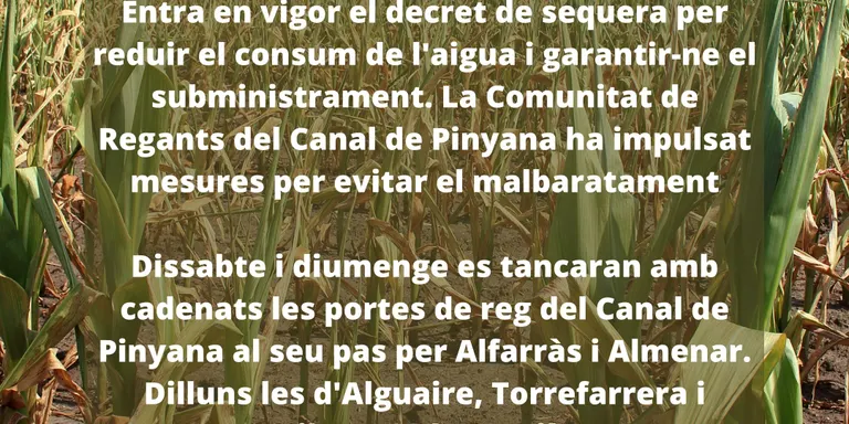 Tanquen amb cadenats les pales de reg del Canal de Pinyana