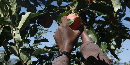 Unió de Pagesos denuncia que el pressupost del Ministeri d'Agricultura per al 2017 és el més baix de l’etapa de crisi econòmica