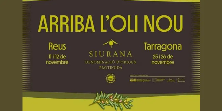 La DOP Siurana preveu un 45% menys de producció d'oli amb una collita de 3 milions de quilos
