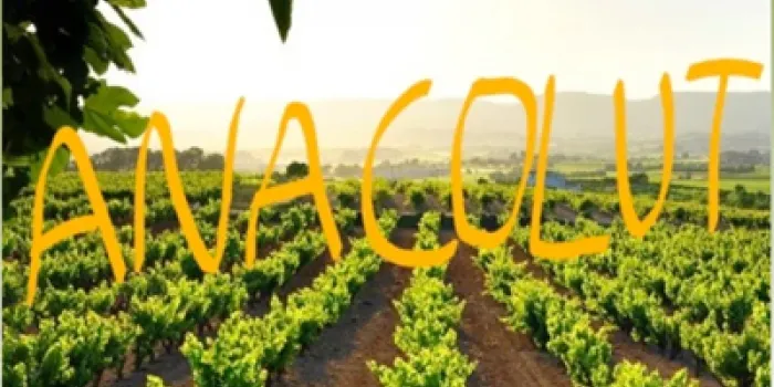 L’arenyenc Rafel Mollar presenta demà el seu segon llibre ‘Anacolut. Mirar enrere, veure-hi de nou’