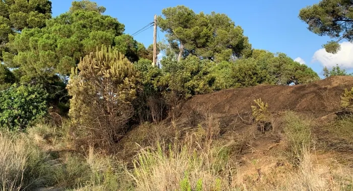 L'incendi es va produir al voltant del Pavelló Municipal.