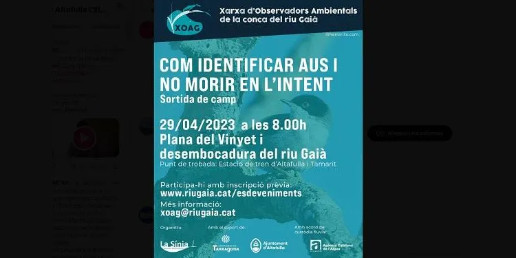 La Sínia ofereix la possibilitat de conèixer les aus del nostre entorn amb una nova sortida per la desembocadura del riu