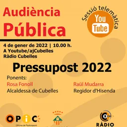 AUDIÈNCIA PÚBLICA PRESSUPOST del 14/11/2018 - episode art