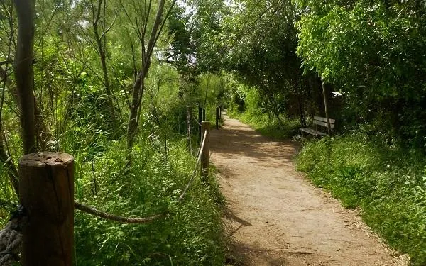 Foto: Natura Local