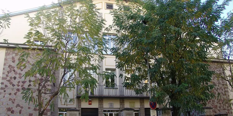 L'Institut Joan Brudieu de la Seu acollirà el pròxim curs escolar un IFE per a joves amb discapacitat intel·lectual