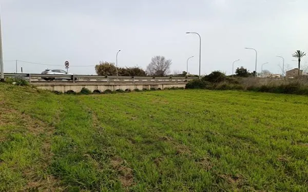 Foto: Altafulla Ràdio