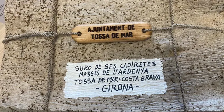 Organitzen una travessia de rem entre Tossa de Mar i les Illes Balears per analitzar la qualitat de l'aigua