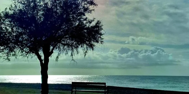 Bon temps i temperatures sense canvis