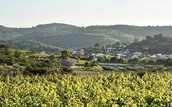 Foto: Ajuntament de Salomó