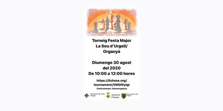 Més d'una quarantena d'inscrits al Torneig d'Escacs Festa Major La Seu-Organyà