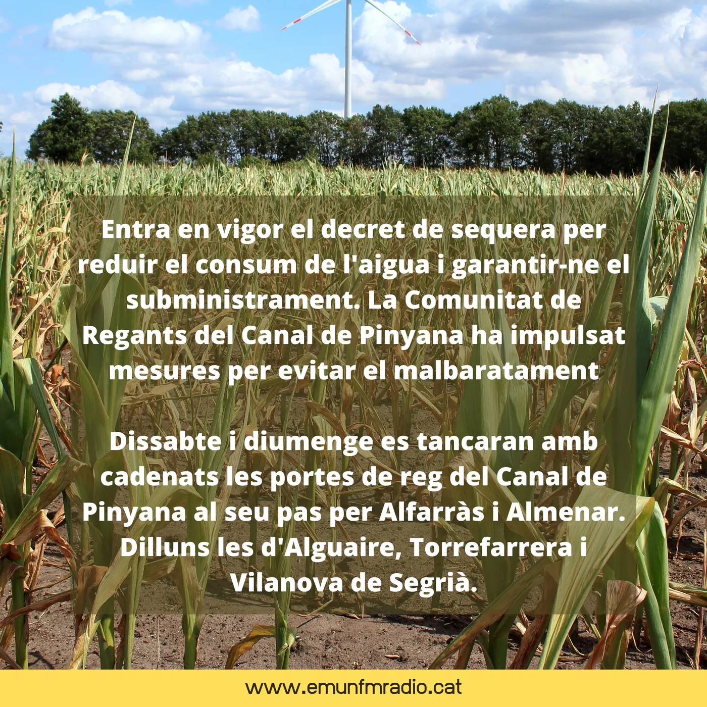 Tanquen amb cadenats les pales de reg del Canal de Pinyana