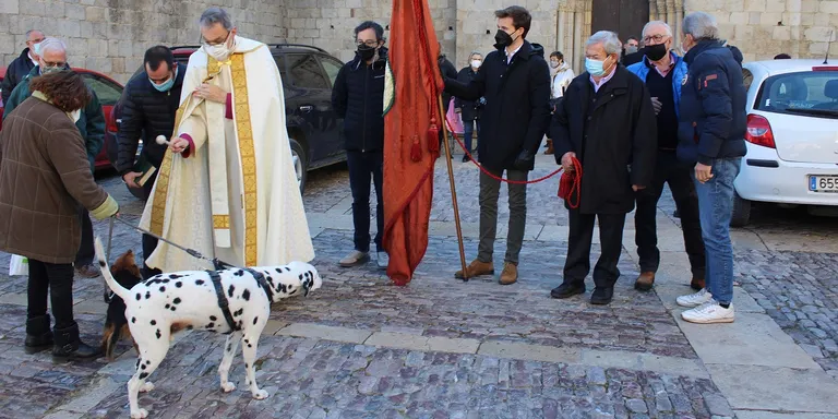 La confraria de Sant Antoni Abat de la Seu d'Urgell celebra la festivitat del seu patró sense calderada