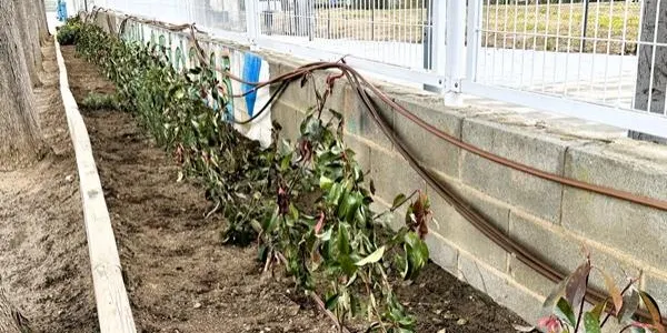 Torredembarra impulsa la creació de refugis climàtics als centres educatius del municipi
