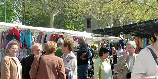 El tancament de la biblioteca i el Casal Cívic i l'anul·lació del mercat del divendres, principals mesures de prevenció del coronavirus a Solsona