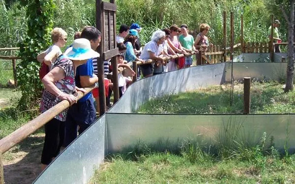 Foto: Hort de la Sínia