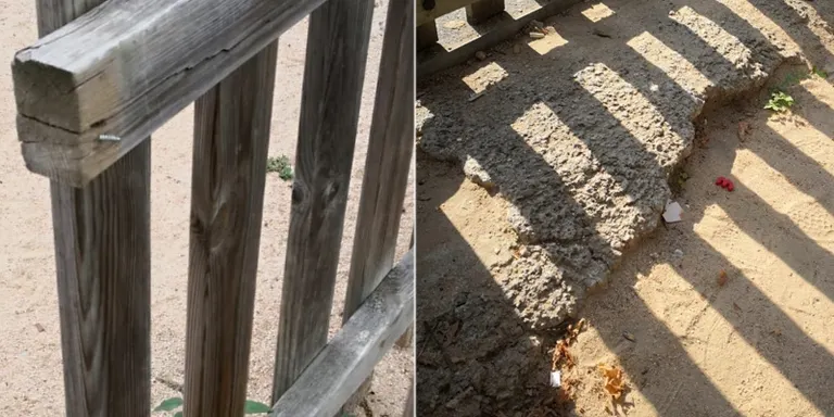 ERC proposarà al Ple un nou contracte de manteniment de Parcs i Jardins