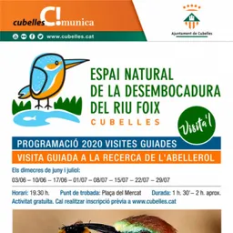 2020_06_09_PILAR JUSTE CONTE INFANTS COVID.mp3 - episode art