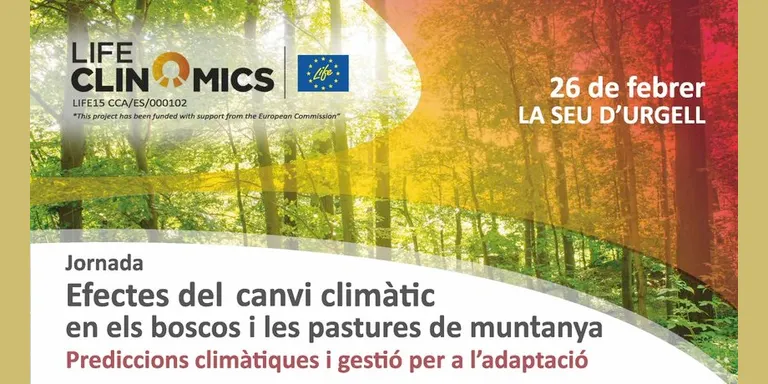 Jornada a la Seu sobre els efectes del canvi climàtic en els boscos