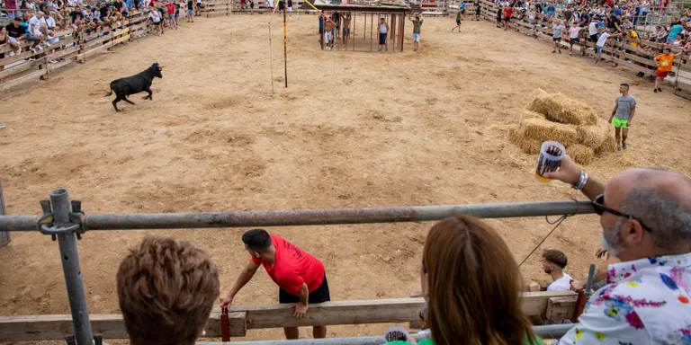 El Morell tornarà a tenir tempta de vaquetes per festa major