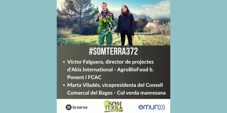 Som Terra 372