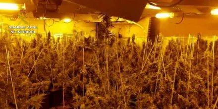 Operatiu de la Guàrdia Civil a Valls contra el tràfic de drogues