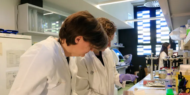 Identifiquen una nova forma genètica de l’Alzheimer que explica un de cada cinc casos