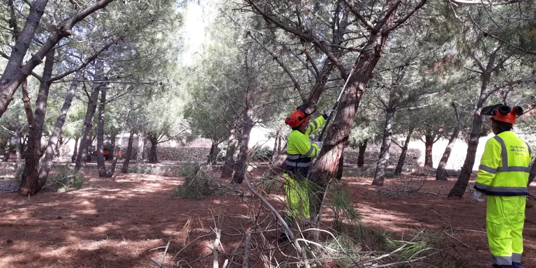 Finalitzen les tasques de la brigada forestal del Pla d’Ocupació 2022
