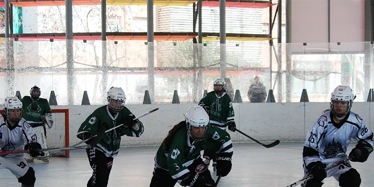 Tendències diferents a l’hoquei patins en línea