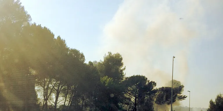 Petit incendi de matolls al Pinar
