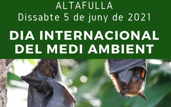 Foto: Ajuntament d'Altafulla