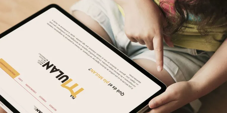 Vallsinfo: material tecnològic als centres educatius, Galeria de Ciutadans Il·lustres i activitats d’estiu al PME