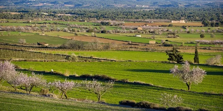 Destacats de la setmana