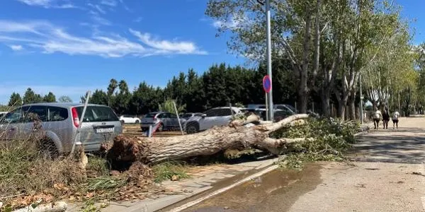 S’obre al trànsit la carretera de la platja després dels treballs urgents a la via pels efectes dels temporals