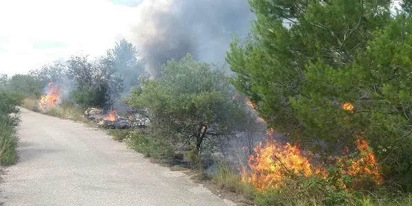 Un incendi crema 3.000 m2 de vegetació als voltants de la depuradora de Torredembarra