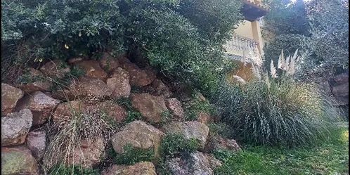 La campanya "Arrenca les plantes invasores del teu jardí" de Naturabegur visitarà prop d’un miler de cases al Baix Empordà
