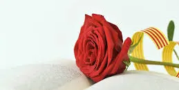 Llibreries solsonines afronten el Sant Jordi confinat amb repartiment a domicili i sortejos per les xarxes socials